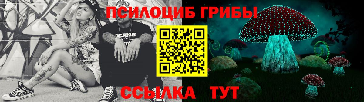 Галлюциногенные грибы Psilocybe  Псилоцибиновые грибы GOLDEN TEACHER  Нарткала  Вход с VPN 
